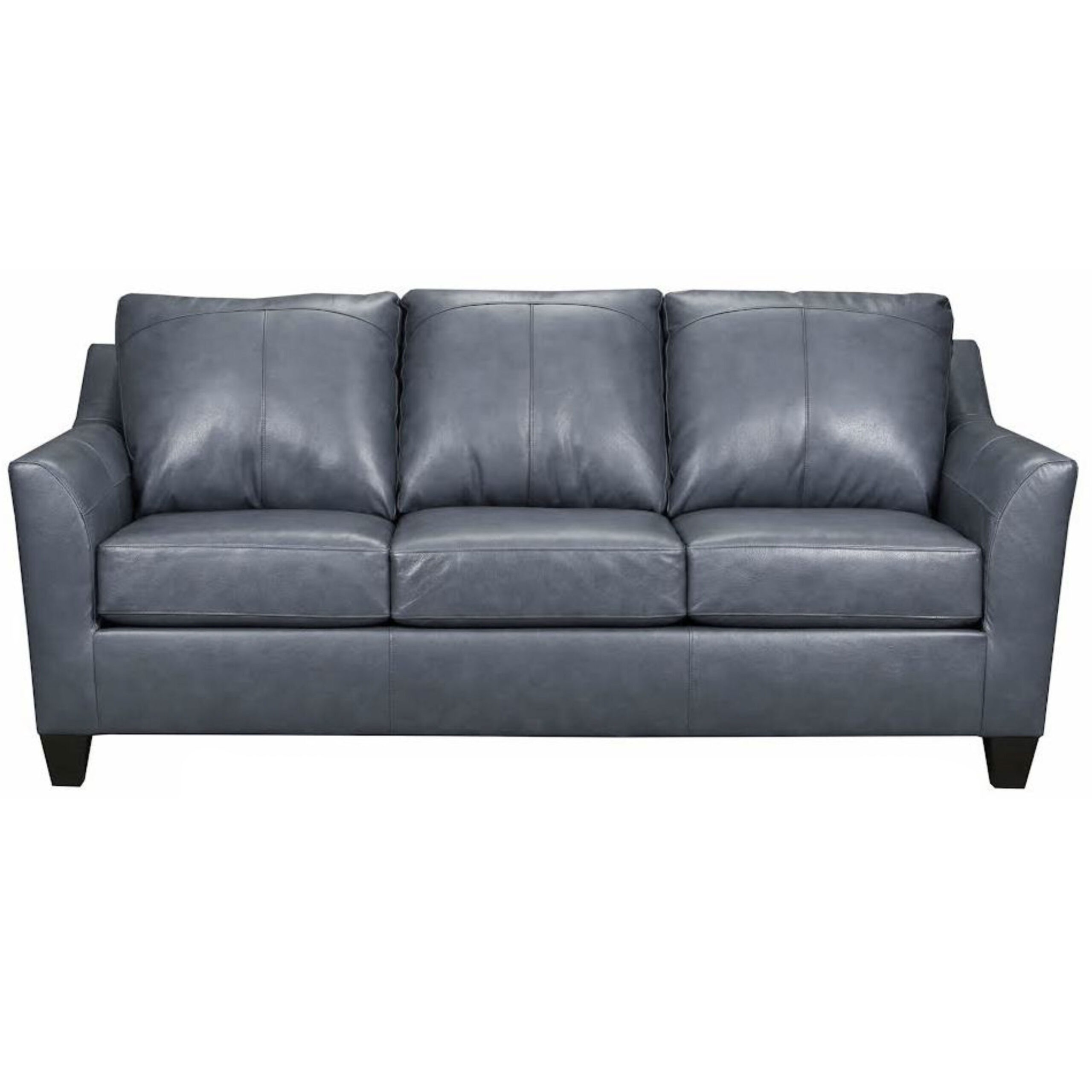 Read more about the article A & W 2029 Soft Touch Leather Sofa/Love – Shale