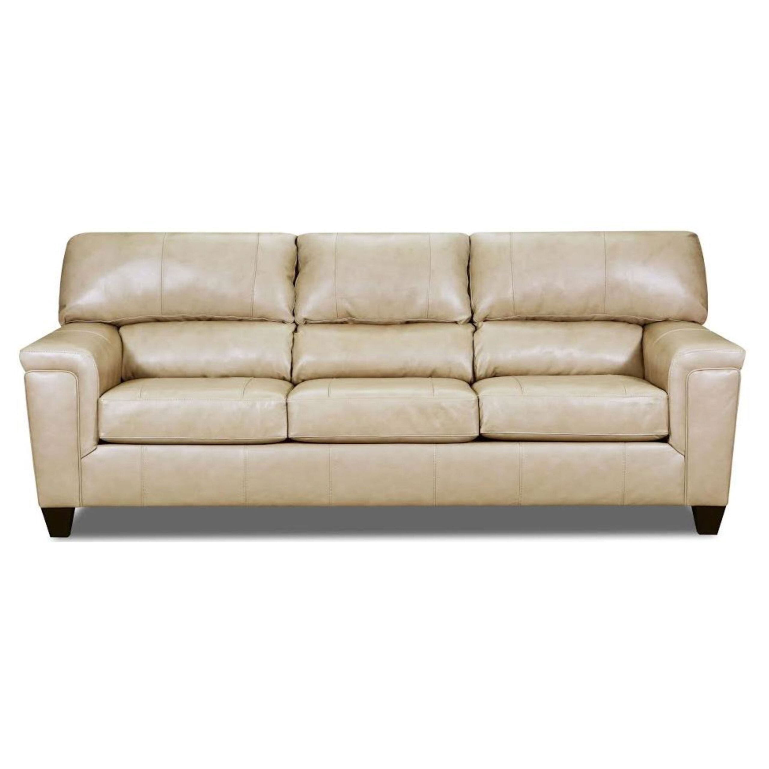 Read more about the article A & W 2038 Soft Touch Leather Sofa/Love – Putty